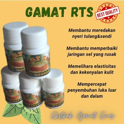 Paket Gamat RTS
